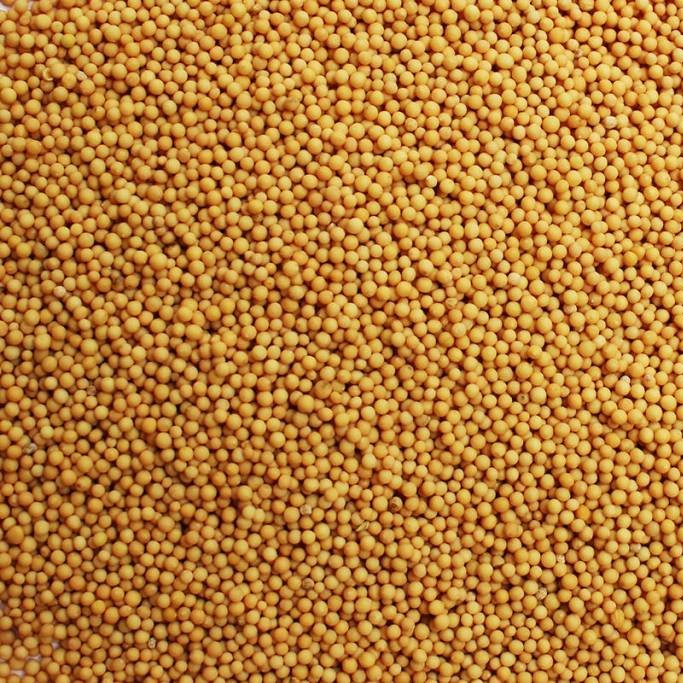 Yellow Mustard Seeds