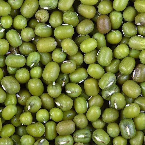 Green Moong Beans